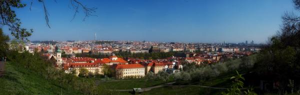 20090414_2.jpg