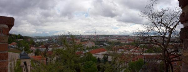 20090417_1.jpg