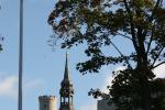 IMG_4886.jpg