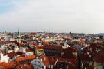 20090416_1.jpg