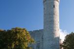 IMG_4887.jpg