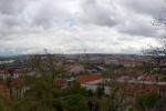 20090417_1.jpg